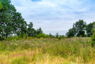 Terrain de 1030m2 sur la commune de Brive-la-Gaillarde au prix de 49000&euro; avec Alpha Constructions