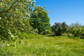 Terrain de 946m2 sur la commune de Saint-Bonnet-l&rsquo;Enfantier au prix de 28758&euro; avec Alpha Constructions