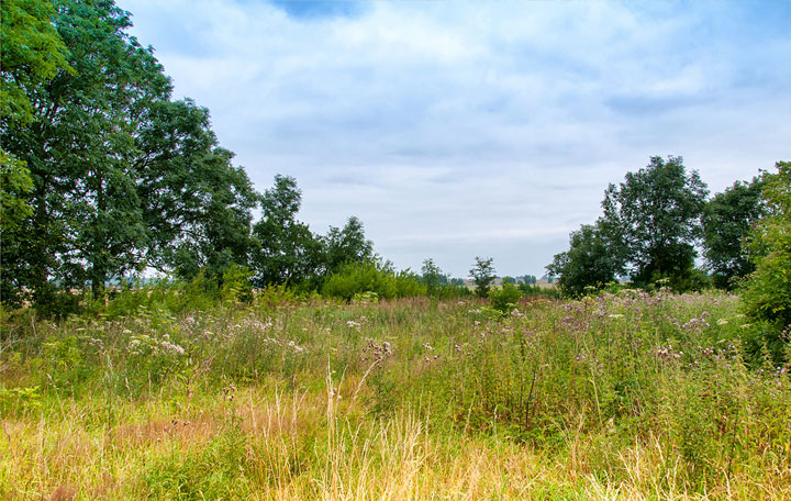 Terrain de 490m2 sur la commune de Agen au prix de 50000&euro; avec Alpha Constructions