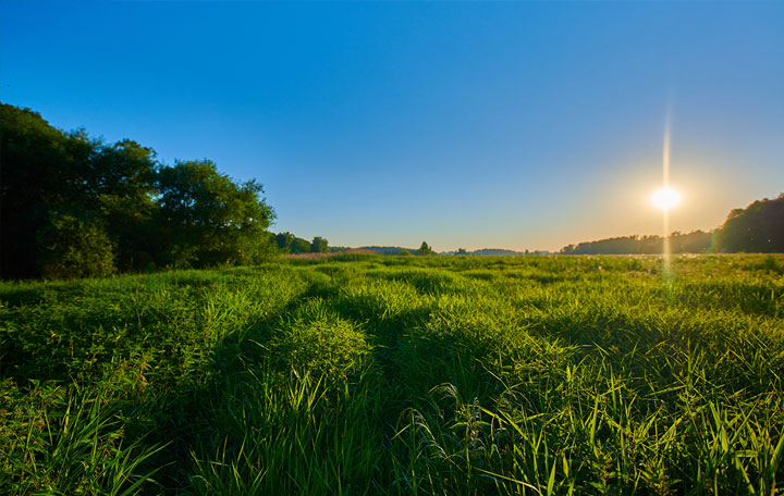 Terrain de 980m2 sur la commune de Villeneuve-sur-Lot au prix de 35000&euro; avec Alpha Constructions