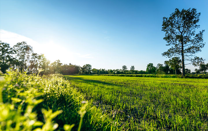 Terrain de 850m2 sur la commune de Pujols au prix de 36000&euro; avec Alpha Constructions