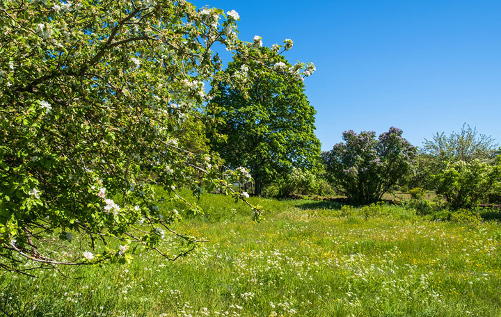 Terrain de 1100m2 sur la commune de Tonneins au prix de 41000&euro; avec Alpha Constructions