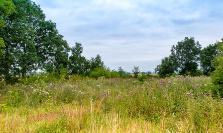 Terrain de 370m2 sur la commune de Bordeaux au prix de 275000&euro; avec Alpha Constructions