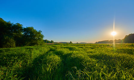 Terrain de 1100m2 sur la commune de Blaye au prix de 50000&euro; avec Alpha Constructions