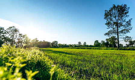 Terrain de 350m2 sur la commune de Bègles au prix de 238000&euro; avec Alpha Constructions