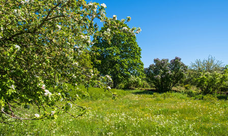 Terrain de 650m2 sur la commune de Villenave-de-Rions au prix de 65000&euro; avec Alpha Constructions