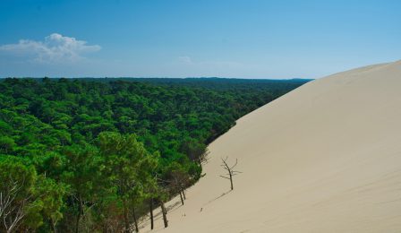 Focus régional : construire sur le Bassin d’Arcachon