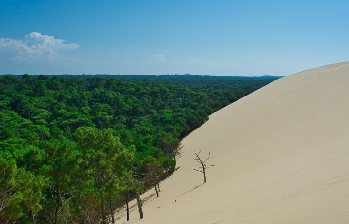 Focus régional : construire sur le Bassin d’Arcachon