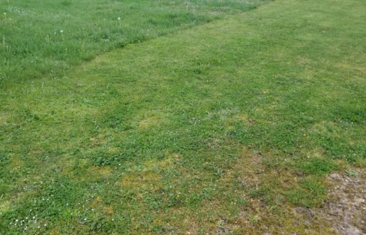 votre maison de 90m2 sur un terrain de 420m2 sur la commune de Créon au prix de 230000&euro; avec Alpha Constructions
