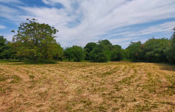 votre maison de 90m2 sur un terrain de 800m2 sur la commune de Sireuil au prix de 199460€ avec Alpha Constructions