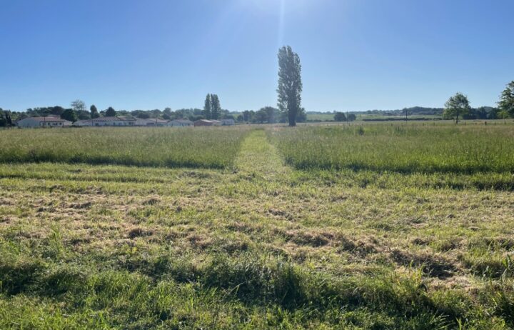 votre maison de 90m2 sur un terrain de 1000m2 sur la commune de Bourg au prix de 205000€ avec Alpha Constructions