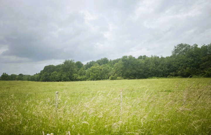 votre maison de 90m2 sur un terrain de 500m2 sur la commune de Cavignac au prix de 192000€ avec Alpha Constructions