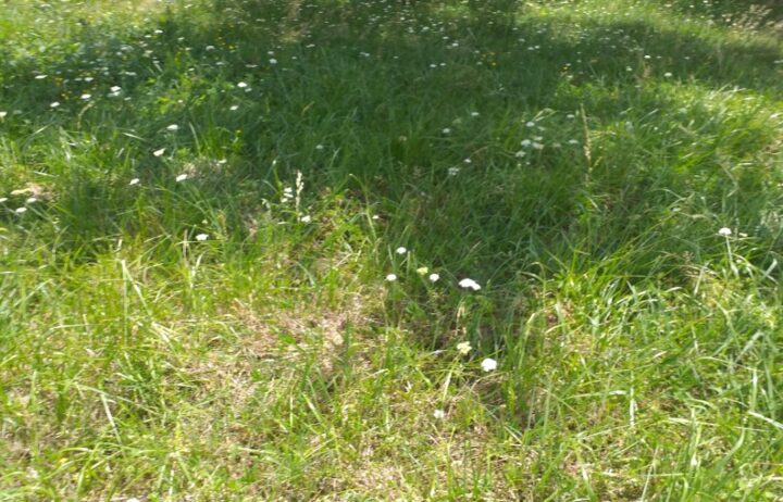 votre maison de 90m2 sur un terrain de 570m2 sur la commune de Naujan-et-Postiac au prix de 199800&euro; avec Alpha Constructions