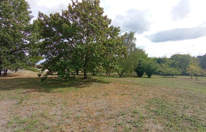 votre maison de 90m2 sur un terrain de 980m2 sur la commune de Nersac au prix de 210000€ avec Alpha Constructions