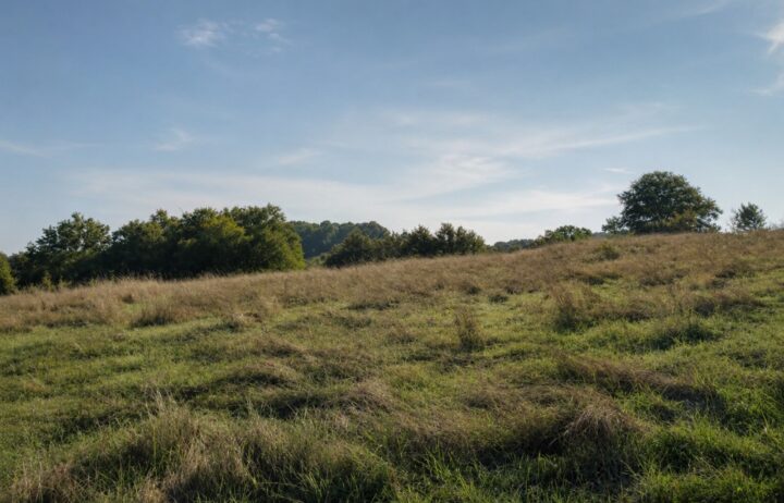 votre maison de 90m2 sur un terrain de 850m2 sur la commune de Saint-Pierre-de-Chignac au prix de 186000€ avec Alpha Constructions
