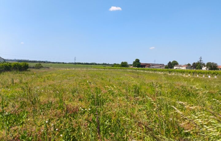 votre maison de 90m2 sur un terrain de 995m2 sur la commune de Sainte-Lheurine au prix de 168500&euro; avec Alpha Constructions