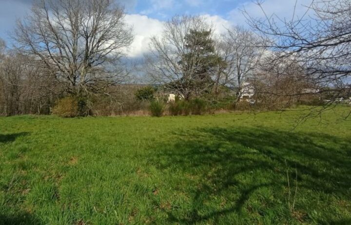 votre maison de 120m2 sur un terrain de 1400m2 sur la commune de Ussac au prix de 359000€ avec Alpha Constructions