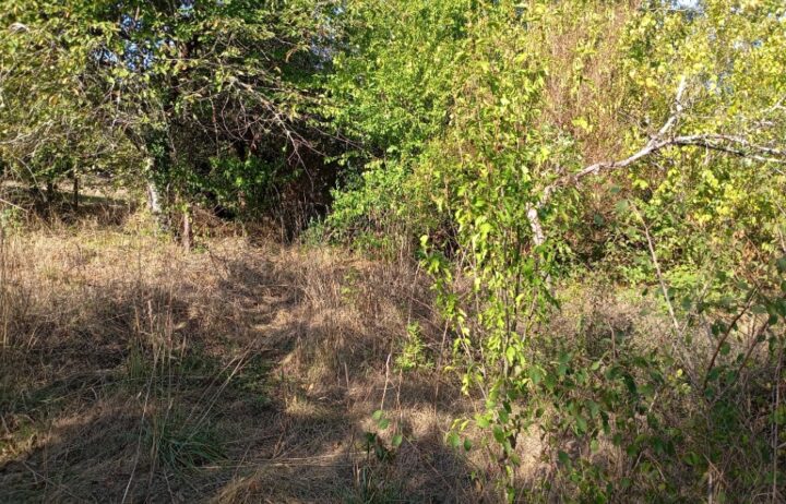 votre maison de 90m2 sur un terrain de 1200m2 sur la commune de Romagne au prix de 250000€ avec Alpha Constructions