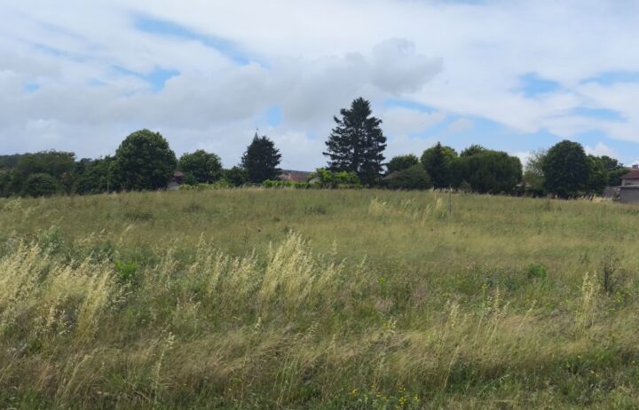 votre maison de 90m2 sur un terrain de 1186m2 sur la commune de Saint-Maigrin au prix de 181000€ avec Alpha Constructions